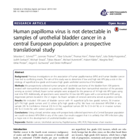 Human papilloma virus is not detectable in samples of urothelial bladder cancer in a central European population: a prospective translational study